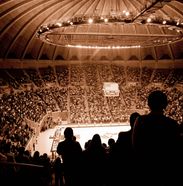 Coliseum interior during game